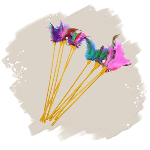 Lyra Pet 10 Stück Katzenangel Spielangel mit Feder Federwedel Spielzeug Katze