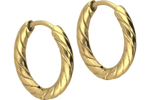 FILANGO 1 Paar Titan Ohrclicker Ohrringe Creolen gedreht goldfarben