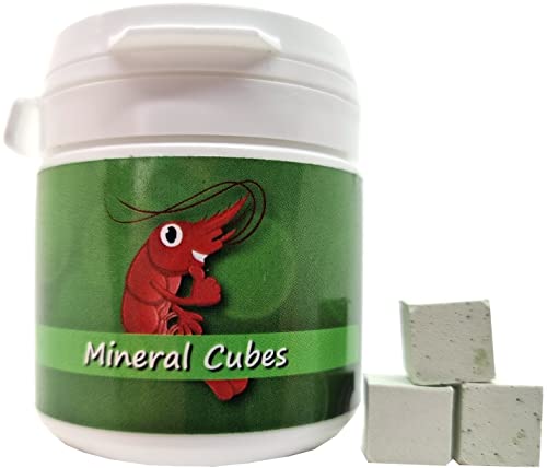 Schmitt Aquaristik Mineral Cubes Spirulina Power 30 Stück Garnelen Aquarium Aufbereiter Schnecken