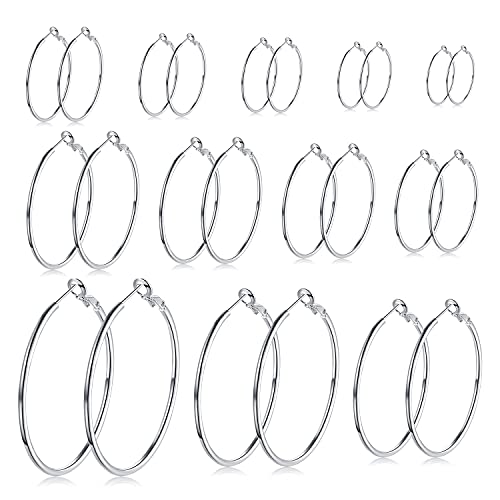 LEEQ 12 Paar Creolen Piercing Ohrreifen Edelstahl Ohr Ringe Set für Frauen Mädchen 12 Größen 20-75 mm