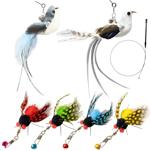 Katzenangel Katzen Angel Inklusive 1 Ersatzkopf Für Graue Elster 1 Ersatzkopf Für Specht 1 Teaser-Stange Für Schwarze Katze 4 Zikaden-Katzenspielzeug Je Eines In Rot Grün Blau Und Gelb