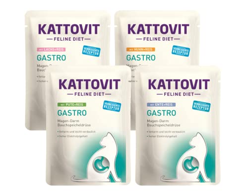 Kattovit Feline Diet Gastro Bundle 20x 85g bestehend aus 4 Sorten Spezielles Nassfutter für Katzen mit Gastro-intestinalen Problemen Magen-Darm Bauchspeicheldrüse