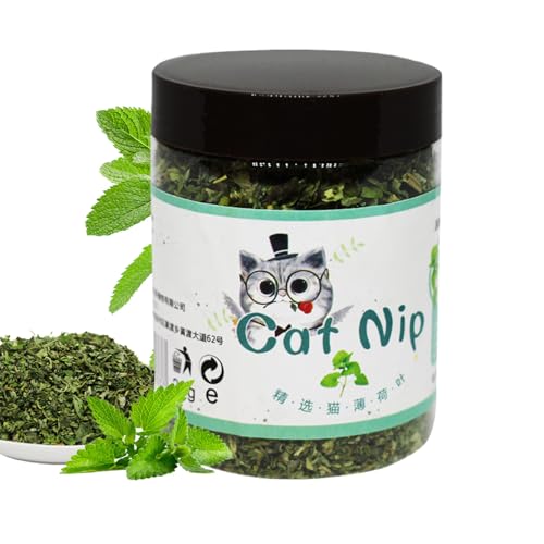 Catnip for Kittens and Cats - 20g Natural Calming Herb Interactive Entertainment Treat Indoor Active Play Attractant Flavor Food Snack Cat Stress Relief Fun Relaxation Engagement Pet Toy Use