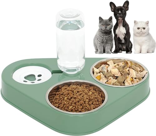 Futternapf Katze Rostfreier Stahl Fressnapf 3 in 1Futternapf Katzen mit automatischem Wasserspender Doppelte Futternapf kleine und mittlere Katzen und Hunde Green