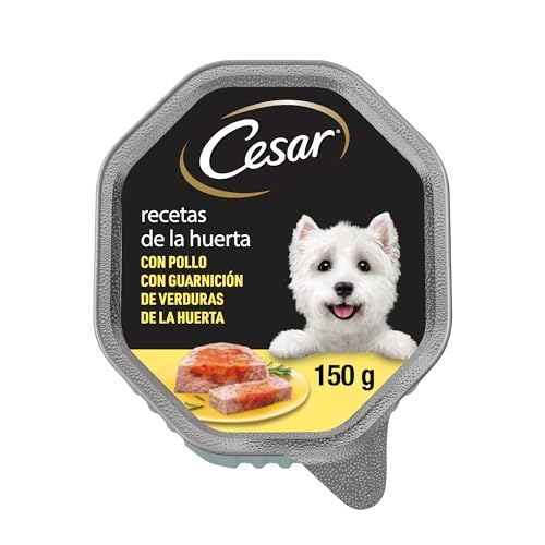 Cesar Behälter für Nassfutter für Hunde in Pastete und Gelee Rezepte aus dem Garten 150 g