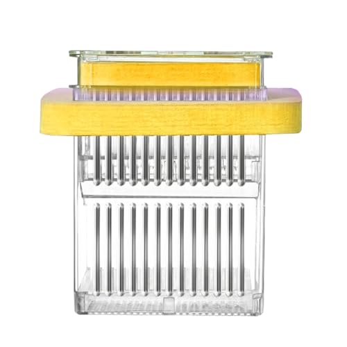 Guppy Breeder Box - Fischtankzüchtungsfalle Fischbrütebehälter Gleites Aquarium Hatchery Box Guppy Fischtankteiler Akklimatik Mutter Wasserleben Inkubator für