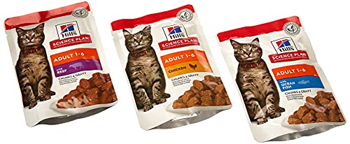 Hill Science Plan Feline Adult Katzenfutter Biscuit Fragile Magen-Huhn mit Ei Reis 12 X 85g