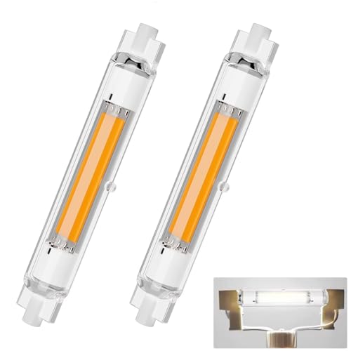 Dvnoua 30W Kaltweiß 6000K für 300W Leuchtmittel 3000LM Beleuchtung für Zuhause 2PCS