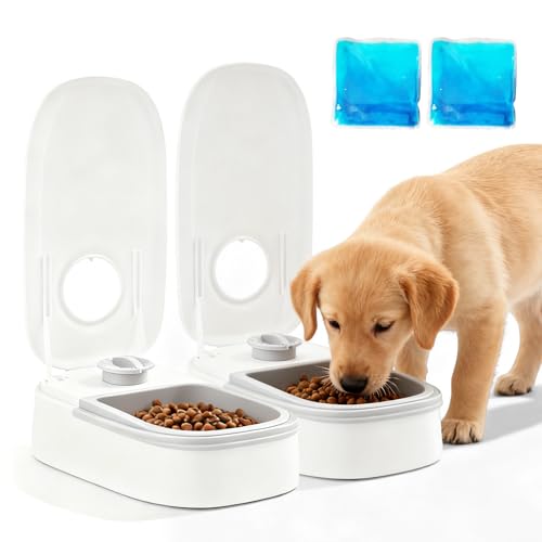  350ml 2 2 Mahlzeiten Für Trocken  Nassfutter 48 Stunden Timer Für Kleine