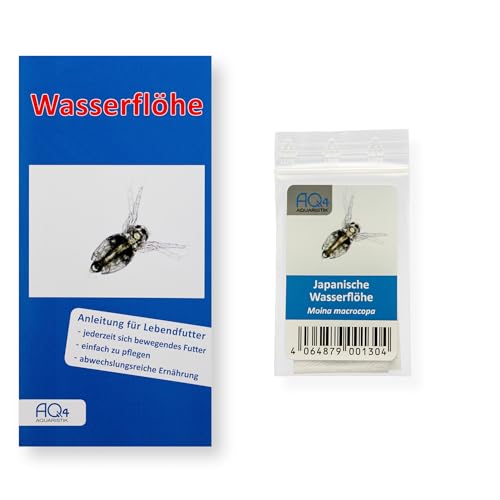 Lebendfutter - Japanische Wasserflöhe - Moina macrocopa Zuchtansatz Reine Wasserfloheier - Lebendfutter für Fische im Aquarium
