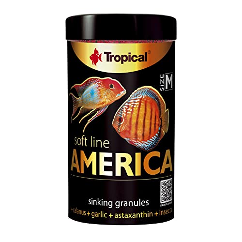 Tropical Soft Line Amercia Size M 1er Pack 1 x 60 g