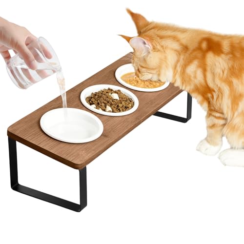 Sunhoo Erhöhter Katzenfutter-Wassernapf erhöht geneigt Katzen-Schale 3er-Set Keramik-Schüssel für Innenkatzen orthopädischer Tierfutterständer reduziert Erbrechen 3 Näpfe Katzenfutterstation