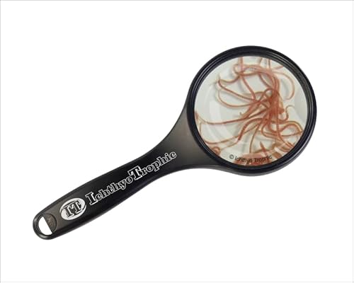 Glanzwürmer Blackworms 90 ml Lebendfutter für Zierfische gereinigt gewässert Futtermittel 100 90ml