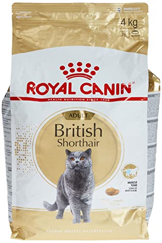 Royal Canin Feline British Shorthair 1er Pack 1 x 4 kg Beutel - Katzenfutter