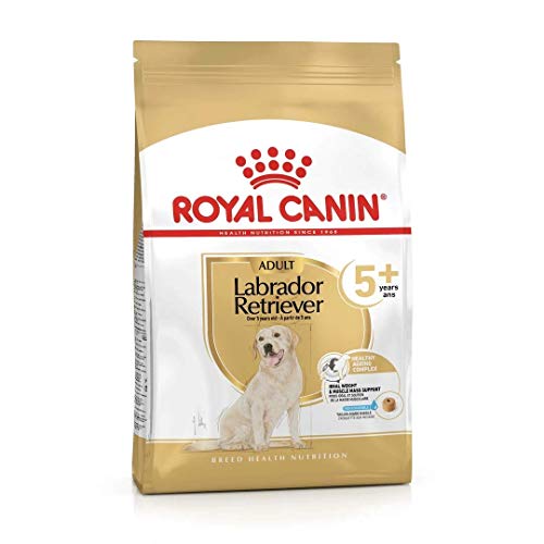ROYAL CANIN Labrador Retriever Adult 5 - 12 kg