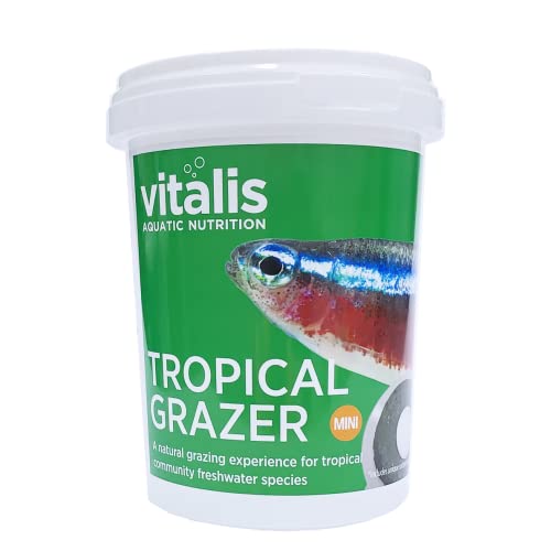 Vitalis Tropical Mini Grazers Fischfutter Aquarium Fischfutter Aquarium Grazers für Tropische Fischarten - hochverdaulich und ausgewogen - Vitamine und Mineralien 240g