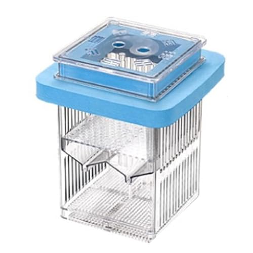 Guppy Schlupfbox Clear Guppy Fish Tank Breeder Fall Aquariumfisch -Zuchtbox Transparent Breeder Box Clear Aquatic Life Incubator Isolation Fall für Betta