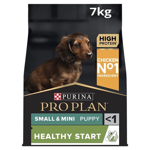 Pro Plan Purina Hundefutter für kleine und kleine Welpen mit OptiStartart reich an Trockenfutter für Hühner