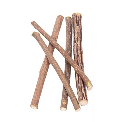 Katnetoly 5 Stueck natuerliche Mutius Haustier Snack Katze Kauen Stick behandeln Spielzeug Katzenminze Molar Lebensmittel Katze Minze