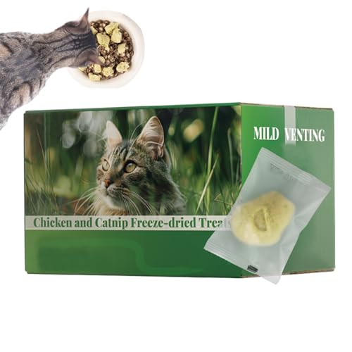 Katzengras Leckerlis - 16 Stück Katzengras Sticks Essbare Katzenleckerlis Einzelverpackt Als Kauspielzeug Für Kätzchen Spielen Training Reisen Geburtstag