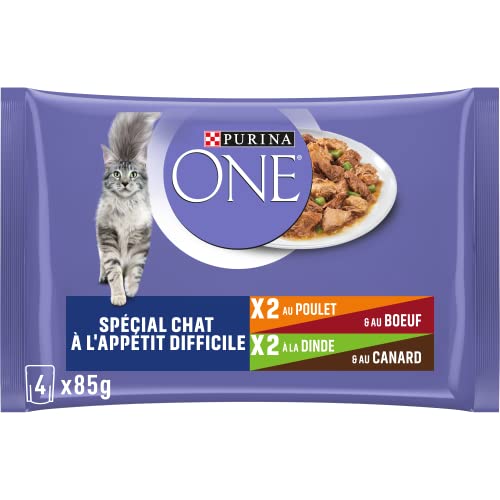 Purina One - Spezialfutter in Sauce Rind Huhn Ente und Truthahn für Katzen mit Appetit 340 g