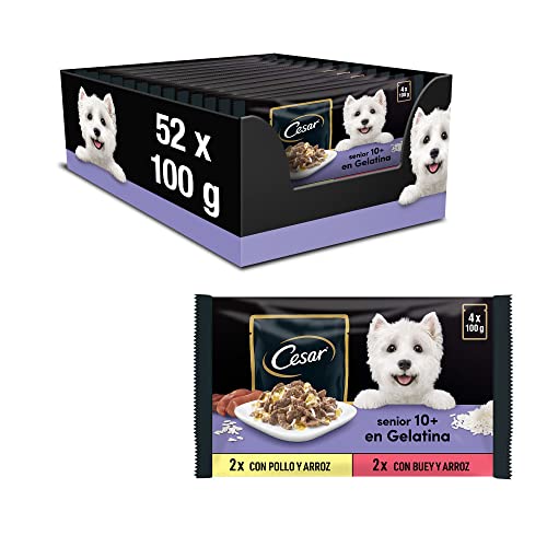 Cesar Senior 10 Hundefutter Nassfutter Selektion in Gelee mit Huhn Rindfleisch und Reis 13 x 4 x 100g