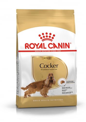 Royal Canin Cocker Adult 3 kg Alleinfuttermittel für ausgewachsene Cocker Spaniels Zur Unterstützung des allgemeinen Wohlbefindens Mit Borretschöl und Omega-3