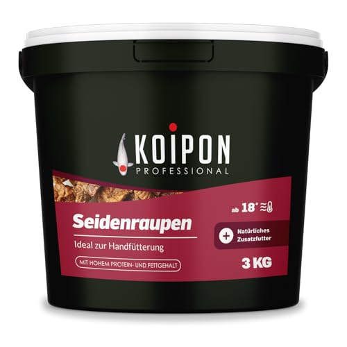 KOIPON Seidenraupen 3 kg getrocknet Naturfutter ergänzend zu Koifutter für japanische Koi Goldfische Fischfutter Leckerli zur Handfütterung