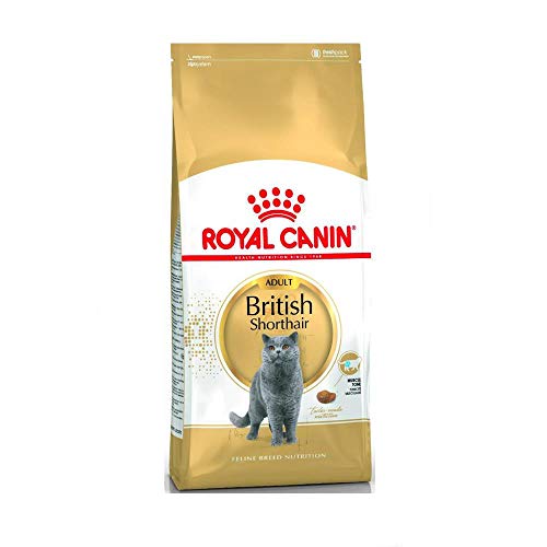 Royal Canin Feline British Shorthair 1er Pack 1 x 10 kg Beutel - Katzenfutter