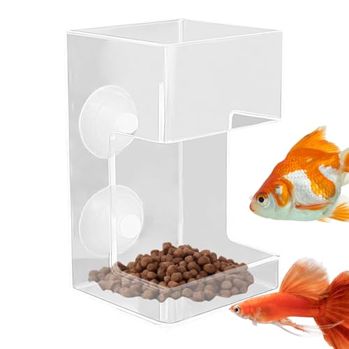 Futterspender Für Aquarienfische 2 Stück Standardmaterial Standardgröße Automatische Fischfutterautomaten Automatischer Schildkröten-Futterspender Für Konsistente Fütterungspläne Zur Unterstüt
