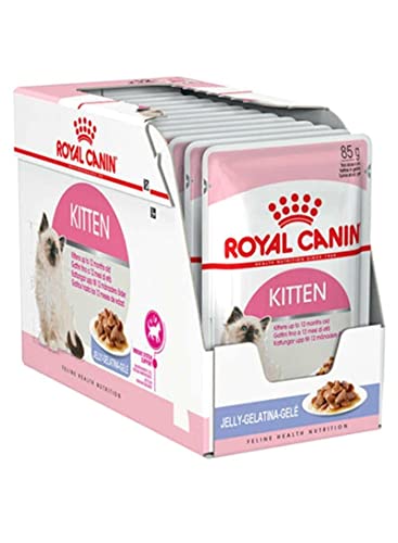 Royal Canin Feline Kitten Stückchen in Gelee 12 x 85g Alleinfuttermittel für Katzenwelpen in der zweiten Wachstumsphase bis zum 12. Monat Im praktischen Beutel