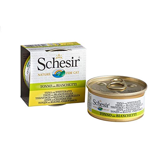 Schesir Cat Thunfisch Sardellen in Brühe 24x 70g Katzenfutter