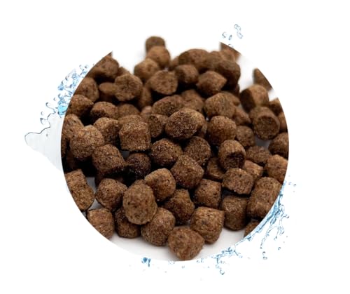 Warnick s Tierfutterservice   Karpfenfutter 5kg in 6mm Pellets   sinkendes Futter für Karpfen