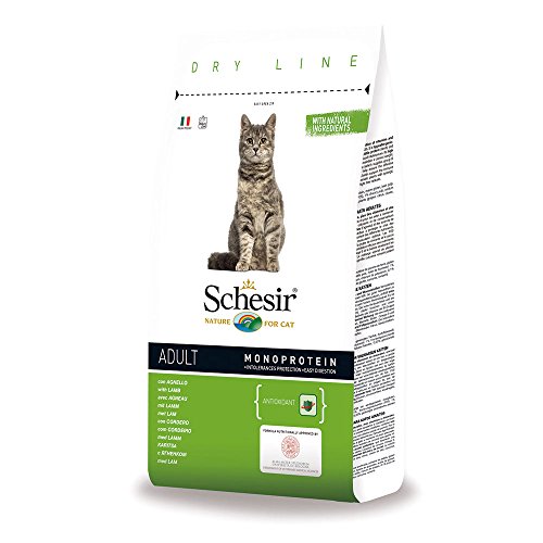 Schesir Cat Adult Maintenance Lamm Katzenfutter trocken für Erwachsene Katzen Trockenfutter im Beutel 1er Pack 1 x 400 g