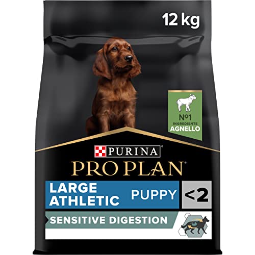  Large Athletic Puppy 2 Verdauung Lamm Welpe 12kg