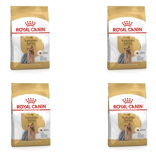 Royal Canin Yorkshire Terrier Adult Trockenfutter 4er Pack 4 x 500 g Speziell für Erwachsene Yorkshire Terrier entwickelt Unterstützung der körpereigenen Abwehrkräfte