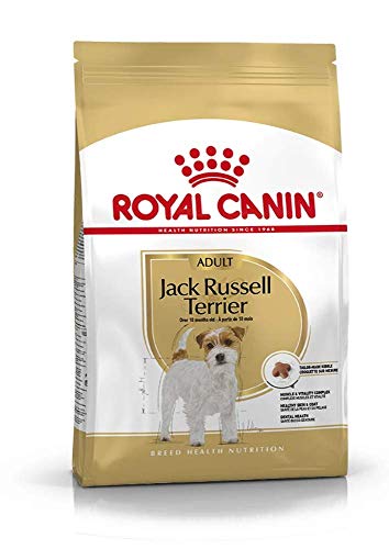 Royal Canin Jack Russel Adult 7 5 kg 1er Pack 1 x 7.5 kg