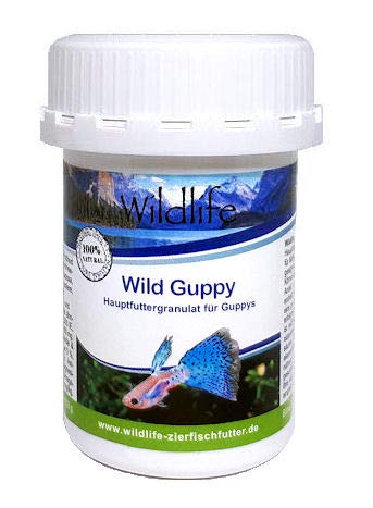 Wildlife Wild Guppy Hauptfutter speziell für Guppys 40 g