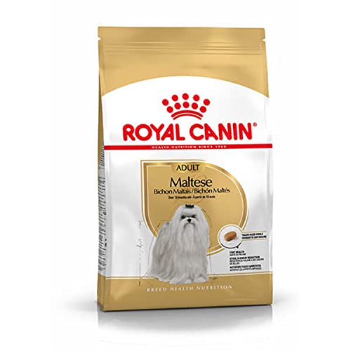 Royal Canin Maltese Adult 1 5 kg Trockenfutter für ausgewachsene Malteser Zur Unterstützung des Fells und der Verdauung Mit EPA DHA Für Hunde ab dem 10. Lebensmonat