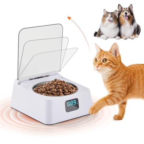 Futterautomat Katze nassfutter mit 350 ml Katzennapf Nassfutterautomat für Katzen und Hunde Kleine Automatic cat Feeder für Kurzhaar Maine Coon Ragdoll