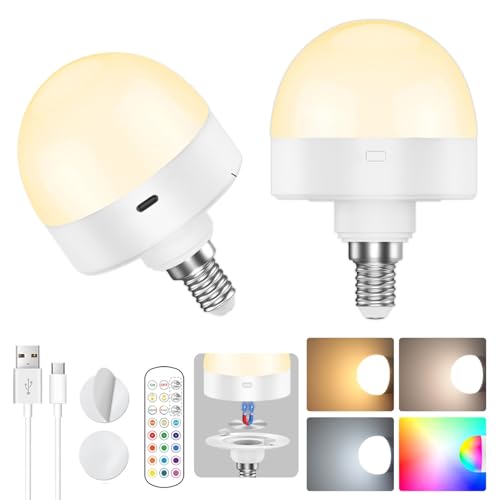 VIIVUU Wiederaufladbare Glühbirne mit Batterie E14 Aufladbare Glühbirne mit Fernbedienung 15RGB Akku Glühbirne Dimmbar LED Glühbirne Aufladbar mit Timing Funktion USB C Glühbirne mit Batterie 2 Stück