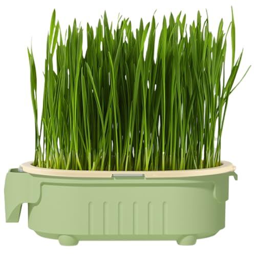 Katzengras-Pflanzgefäß für den Innenbereich hydroponische erdlose Pflanzbox selbstbewässernder Hohltopf Snack-Tablett Treat Greens Anzuchtbehälter für Fensterbank Innenhof Zuha