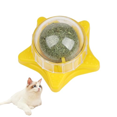 Catnip Roller Ball-360 rotierende Katzenminze-Behandlungskugel wand montiertes Kauspielzeug Natürlicher Seestarfish -Katzenminister Spielzeug staubdes Katzenministerkugel für Innenkatzen und Kät
