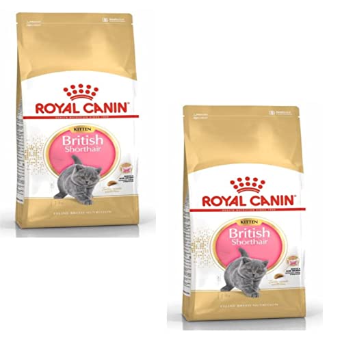 ROYAL CANIN British Shorthair Kitten Doppelpack 2 x 400 g Trockenfutter für BKH Kätzchen Bis zum 12. Monat Zur Unterstützung des Wachstums von Knochen und Muskeln