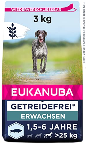  getreidefrei Fisch für große   für 3
