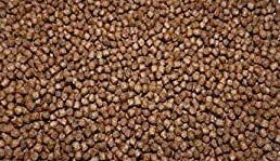 Aller Aqua Koi-Futter 6 mm schwimmend 15 kg Sack mit Astaxanthin Primo Float Plus Teichfutter Koifutter Sahawa