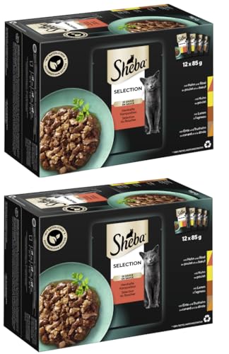 SHEBA Schale Multipack - Verschiedene Geschmacksrichtungen 2x12x85g Selection in Sauce Herzhafte Komposition