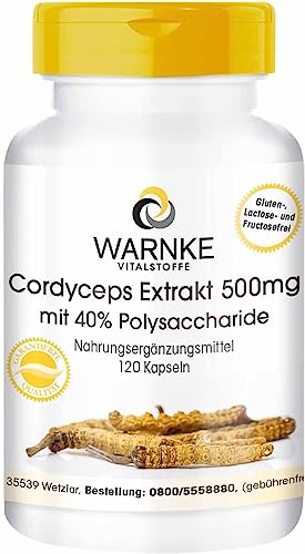 Cordyceps Extrakt 500 mg - 120 Kapseln standardisiert auf 40% Polysaccharide veganer Vitalpilz Warnke Vitalstoffe
