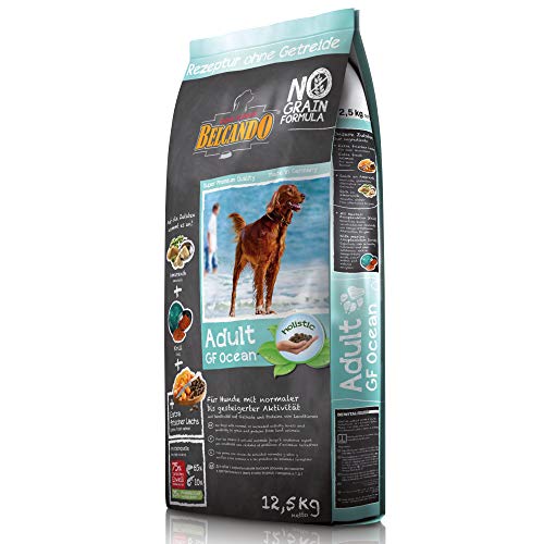 Belcando Adult GF Ocean 12 5 kg getreidefreies Hundefutter Sortenreines Trockenfutter ohne Getreide Alleinfutter für ausgewachsene Hunde ab 1 Jahr