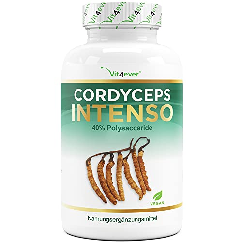 Cordyceps Pilz   180 Kapseln 650 mg echtem CS 4 Extrakt   40% bioaktive Polysaccharide   Laborgeprüft   Hochdosiert   Raupenpilz   Vegan